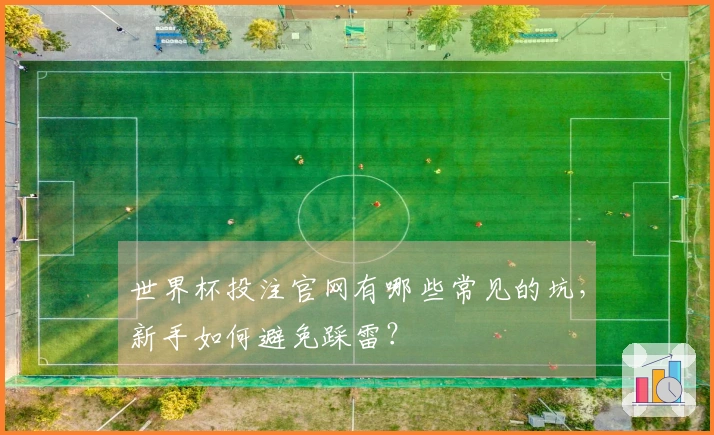 世界杯投注官网有哪些常见的坑，新手如何避免踩雷？