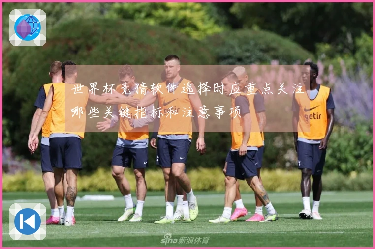 世界杯竞猜软件选择时应重点关注哪些关键指标和注意事项