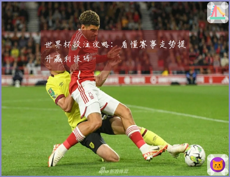 世界杯投注攻略：看懂赛事走势提升赢利技巧